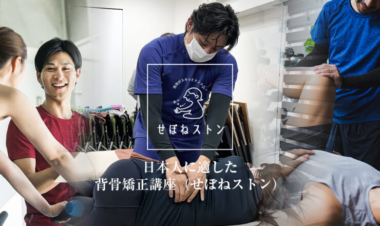 全脊柱矯正法　マスタープログラム 脊柱・骨盤のテクニック 脊柱・骨盤のテクニック (カイロ